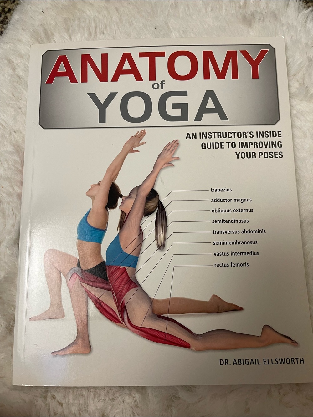 Anatomy of Yoga by - White Cover with Blue Accents